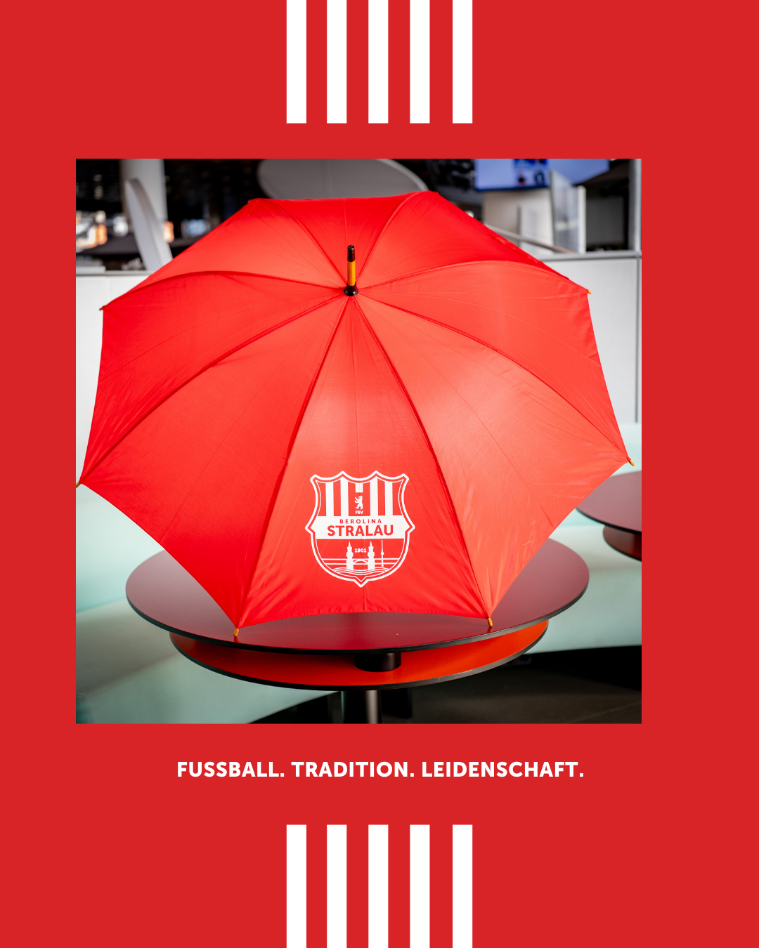 Regenschirm